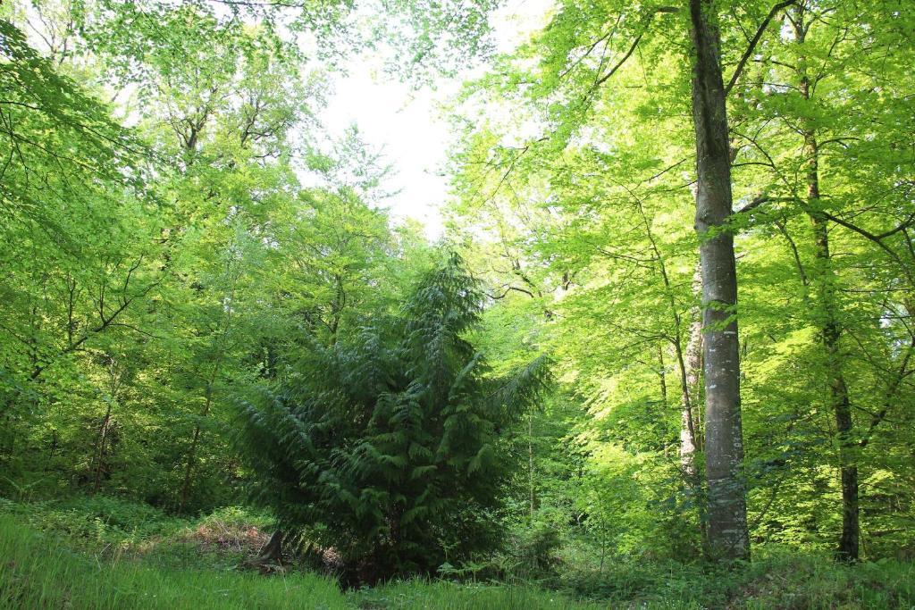 Albert Premier Hotel Bagnoles-de-l'Orne Eksteriør bilde